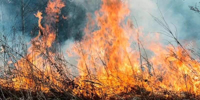 La quema de bosques y pasto en Colombia genera más dióxido de carbono.