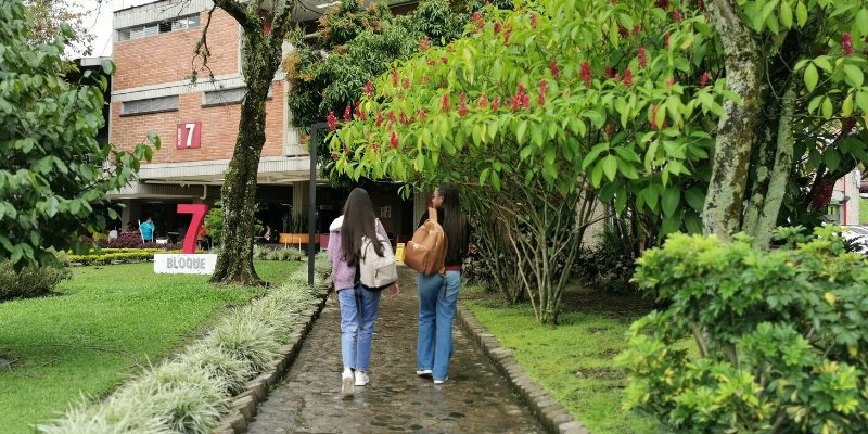 ciudad y campus web