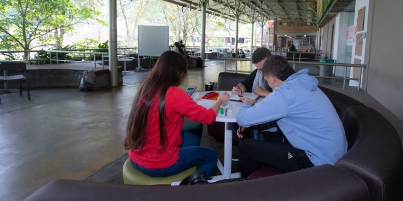 estudiantes suicidio web