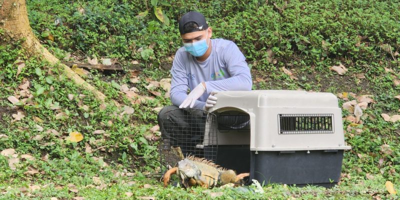 liberacion-fauna-udemedellin