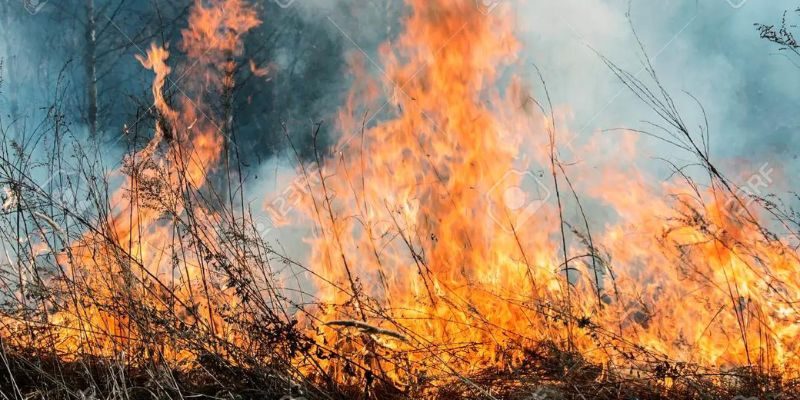 La quema de bosques y pasto en Colombia genera más dióxido de carbono.